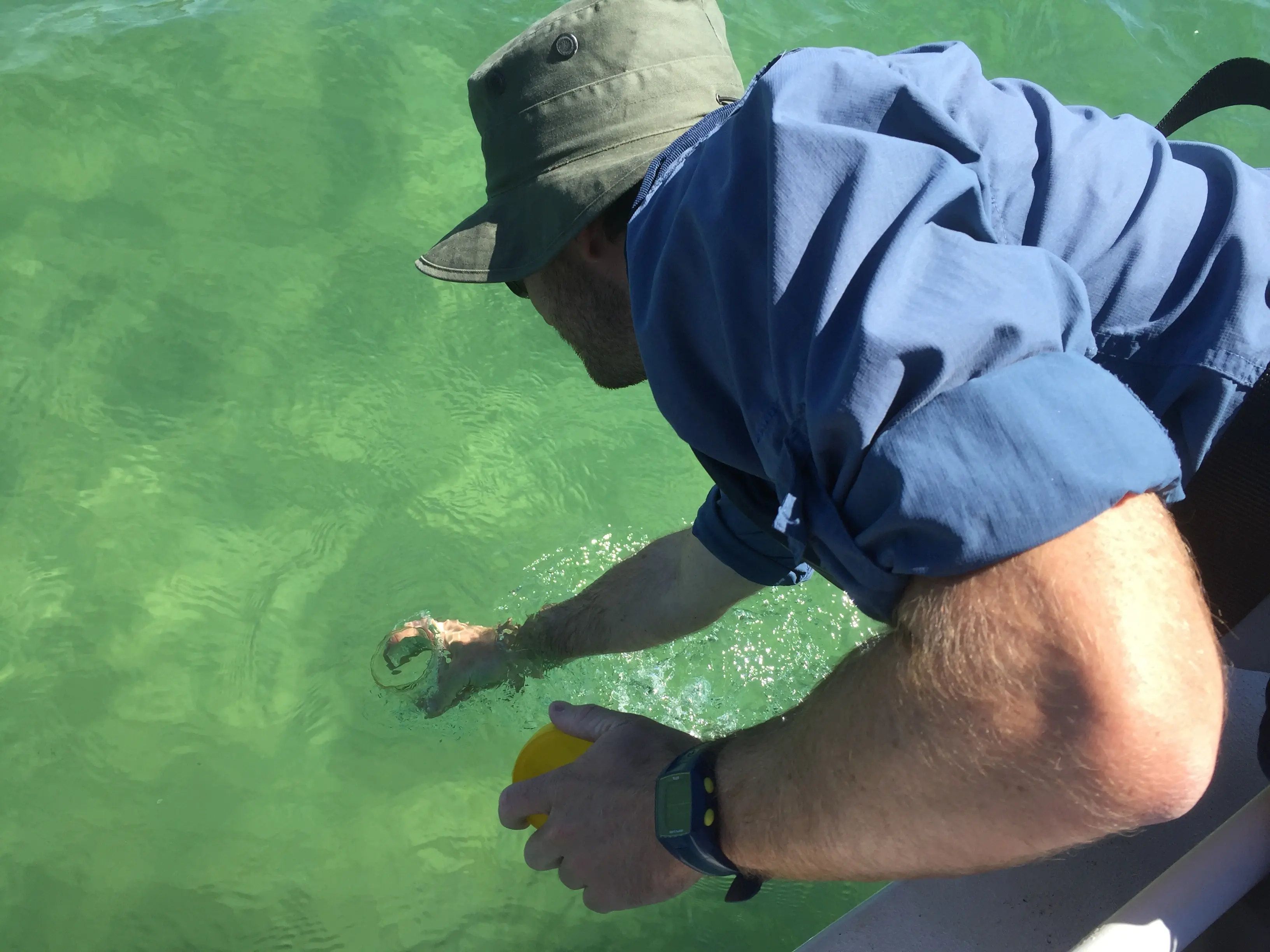 Monitor water